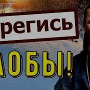 Елена Аксенова Берегись