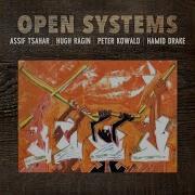 The Lizards In The Maze Assif Tsahar Hugh Ragin Peter Kowald Hamid