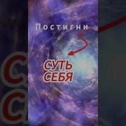 В Чем Твоя Суть