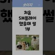 Sm 섹스