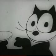 The Day Before You Came The Real Tuesday Weld