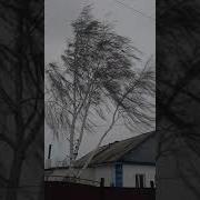 Дед Мороз Плачет
