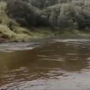 Целое Лето Я Буду С Тобой