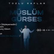 Sarı Saclarından Sen Suçlusun