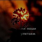 Оранжевое Солнце Минус