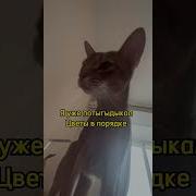 Будильник Наташа Вставай