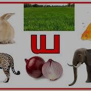 வ ந யகர ச ங ர ங ட ன க ன