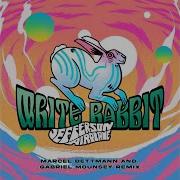 White Rabbit Marcel Dettmann