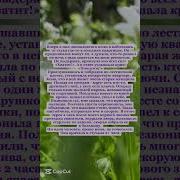 Исторический Рассказ