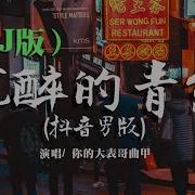 沉醉的青丝Dj