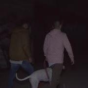 أردنيراب مسبات مصري