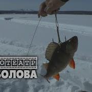 Диалоги О Рыбалке Щука На Живца