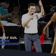 Otabek Muhammadzohid Bu Qanday Gul Отабек Мухаммадзохид Бу Кандай Гул Concert Version