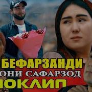 Курбони Сафарзод 2024