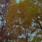Turkish Music Instrumental