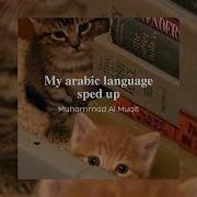 My Arabic Language Speed Up