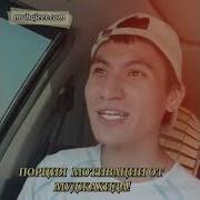 Мотивация От Фарука Шами Журналиста Из Сирии Идлиб Шам Кавказ Афганистан Казахстан Европа