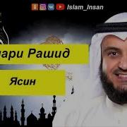Мишари Рашид Ясин Сура