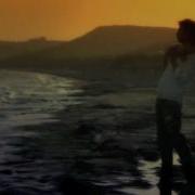 Pura Vida Bar Groove Mix Blank Jones