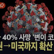신종 코로나 바이러스
