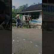 Ngentot Degan Tetangga