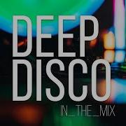 Deep House Summer Mix 2021 I Deep Disco Records Beats 9