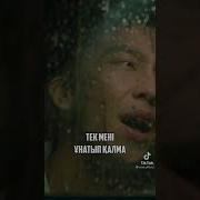 Тек Мені Ұнатып Қалма