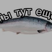 Музыка Под Которую Удобно Думать Что Ты Семга