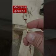 Деревянный Скрип
