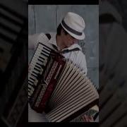 Полька На Аккордеоне