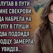 Заплутав В Пути По Вине Свекрови Люда Набрела