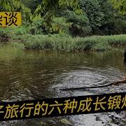 弘哥杂谈 带孩子