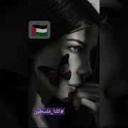 يا صاحبي يا انسان مقطع