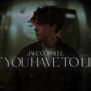 Jake Cornell If You Hane To Lie