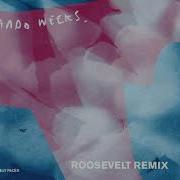 Big Skies Silly Faces Roosevelt Remix Orlando Weeks