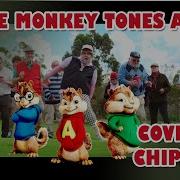 Dance Monkey Tones And I Cover By Chipmunk