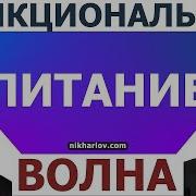 Константин Монастырский Функциональное Питание