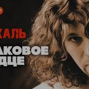 Только Каменное Сердце Не Пылает И Не Болит