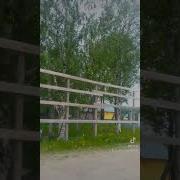 Песни Про Природу России