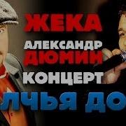 Волчья Доля Все Альбомы