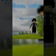 Roblox Дождь Из Тако