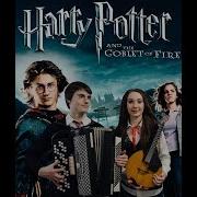 Harry Potter Dubstep Accordion Domra Гарри Поттер Тема На Аккордеоне