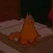 Кот И Ко 1990