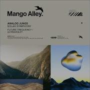 Solar Symphony Original Mix Analog Jungs