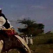 ود البكرى
