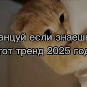 Ноинки Из Тик Тока