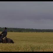 Красные Маки Ни О Чём Не Жалей