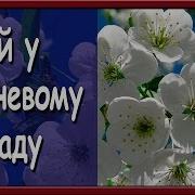 Українська Пісня Ой Я Гуляю