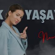 Taleh Mammedov Tek Yaşiyir