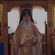 Кто Такие Дети Индиго Кавказский Скит